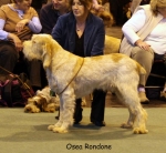 Filename=O-Rondone-2.jpg
Filesize=65KiB
Dimensions=650x600
Date added=Sep 16, 2009 O-Rondone-2.jpg