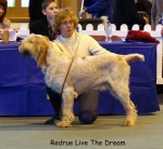 Filename=R-LiveTheDream-2.jpg
Filesize=59KiB
Dimensions=650x600
Date added=Sep 16, 2009 R-LiveTheDream-2.jpg