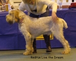 Filename=R-LiveTheDream.jpg
Filesize=47KiB
Dimensions=600x479
Date added=Sep 16, 2009 R-LiveTheDream.jpg