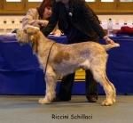 Filename=R-Schillaci-2.jpg
Filesize=55KiB
Dimensions=650x600
Date added=Sep 16, 2009 R-Schillaci-2.jpg