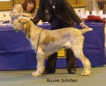 Filename=R-Schillaci.jpg
Filesize=51KiB
Dimensions=600x488
Date added=Sep 16, 2009 R-Schillaci.jpg