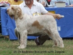 Filename=B-Boscarelli.jpg
Filesize=58KiB
Dimensions=600x454
Date added=Sep 16, 2009 B-Boscarelli.jpg