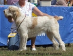 Filename=G-MidnightMagic.jpg
Filesize=61KiB
Dimensions=600x460
Date added=Sep 16, 2009 G-MidnightMagic.jpg