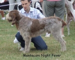Filename=M-NightFever.jpg
Filesize=59KiB
Dimensions=600x483
Date added=Sep 16, 2009 M-NightFever.jpg