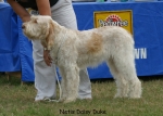 Filename=N-DaisyDuke.jpg
Filesize=76KiB
Dimensions=700x500
Date added=Sep 16, 2009 N-DaisyDuke.jpg