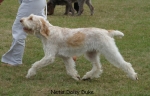 Filename=N-DaisyDuke2.jpg
Filesize=74KiB
Dimensions=700x450
Date added=Sep 16, 2009 N-DaisyDuke2.jpg