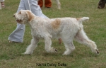 Filename=N-DaisyDuke3.jpg
Filesize=73KiB
Dimensions=700x450
Date added=Sep 16, 2009 N-DaisyDuke3.jpg