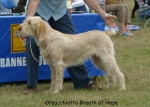 Filename=O-BreathOfHope.jpg
Filesize=85KiB
Dimensions=700x500
Date added=Sep 16, 2009 O-BreathOfHope.jpg