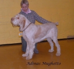 Filename=A Mughetto.jpg
Filesize=57KiB
Dimensions=721x669
Date added=Sep 16, 2009 A Mughetto.jpg