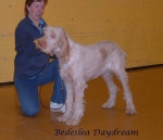 Filename=B Daydream.jpg
Filesize=60KiB
Dimensions=742x639
Date added=Sep 16, 2009 B Daydream.jpg