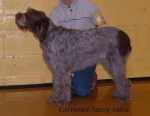Filename=C SassySalsa.jpg
Filesize=87KiB
Dimensions=851x659
Date added=Sep 16, 2009 C SassySalsa.jpg
