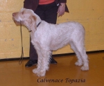 Filename=C Topazio.jpg
Filesize=70KiB
Dimensions=772x639
Date added=Sep 16, 2009 C Topazio.jpg