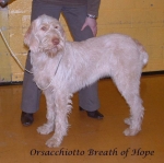 Filename=O BreathOfHope.jpg
Filesize=72KiB
Dimensions=718x714
Date added=Sep 16, 2009 O BreathOfHope.jpg