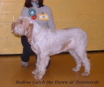 Filename=R CatchTheDawn.jpg
Filesize=72KiB
Dimensions=763x642
Date added=Sep 16, 2009 R CatchTheDawn.jpg