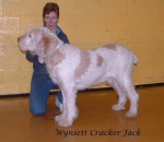 Filename=W CrackerJack.jpg
Filesize=74KiB
Dimensions=799x693
Date added=Sep 16, 2009 W CrackerJack.jpg