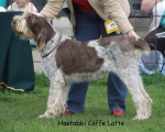Filename=H-CaffeLatte.jpg
Filesize=61KiB
Dimensions=600x481
Date added=Sep 16, 2009 H-CaffeLatte.jpg