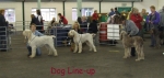 Filename=Dog-Challenge-1.jpg
Filesize=63KiB
Dimensions=600x284
Date added=Sep 16, 2009 Dog-Challenge-1.jpg