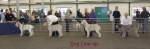 Filename=Dog-Challenge-2.jpg
Filesize=63KiB
Dimensions=600x199
Date added=Sep 16, 2009 Dog-Challenge-2.jpg