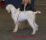 Filename=I-Octavious.jpg
Filesize=66KiB
Dimensions=600x520
Date added=Sep 16, 2009 I-Octavious.jpg