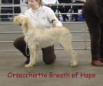 Filename=O-BreathOfHope.jpg
Filesize=69KiB
Dimensions=600x500
Date added=Sep 16, 2009 O-BreathOfHope.jpg