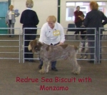 Filename=R-SeaBiscuit.jpg
Filesize=70KiB
Dimensions=600x532
Date added=Sep 16, 2009 R-SeaBiscuit.jpg