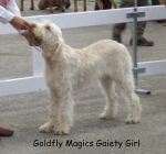 Filename=G-MagicGaietyGirl.jpg
Filesize=51KiB
Dimensions=600x563
Date added=Sep 16, 2009 G-MagicGaietyGirl.jpg
