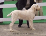 Filename=K-Trevy.jpg
Filesize=56KiB
Dimensions=600x473
Date added=Sep 16, 2009 K-Trevy.jpg