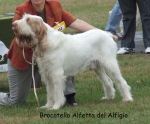 Filename=B-Alfetta.jpg
Filesize=76KiB
Dimensions=700x581
Date added=Sep 16, 2009 B-Alfetta.jpg