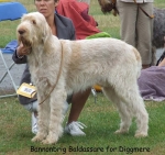 Filename=B-Baldassare.jpg
Filesize=95KiB
Dimensions=700x658
Date added=Sep 16, 2009 B-Baldassare.jpg