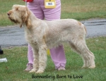 Filename=B-BornToLove.jpg
Filesize=73KiB
Dimensions=700x537
Date added=Sep 16, 2009 B-BornToLove.jpg