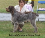 Filename=Bella-DelMongioie.jpg
Filesize=98KiB
Dimensions=700x599
Date added=Sep 16, 2009 Bella-DelMongioie.jpg