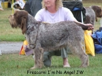 Filename=F-IMNoAngel.jpg
Filesize=89KiB
Dimensions=700x524
Date added=Sep 16, 2009 F-IMNoAngel.jpg