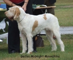 Filename=G-MidnightMoonshine.jpg
Filesize=72KiB
Dimensions=700x584
Date added=Sep 16, 2009 G-MidnightMoonshine.jpg