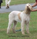 Filename=H-Don'tLookEthel.jpg
Filesize=103KiB
Dimensions=700x737
Date added=Sep 16, 2009 H-Don'tLookEthel.jpg