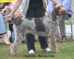 Filename=H-Maroschino.jpg
Filesize=83KiB
Dimensions=700x562
Date added=Sep 16, 2009 H-Maroschino.jpg
