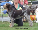 Filename=K-Heskin.jpg
Filesize=90KiB
Dimensions=700x554
Date added=Sep 16, 2009 K-Heskin.jpg