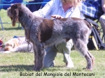 Filename=Babiot-DelMongioie.jpg
Filesize=146KiB
Dimensions=1110x834
Date added=Sep 16, 2009 Babiot-DelMongioie.jpg