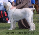 Filename=C-TiAdora.jpg
Filesize=91KiB
Dimensions=927x840
Date added=Sep 16, 2009 C-TiAdora.jpg