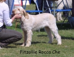 Filename=F-RoccaChe.jpg
Filesize=86KiB
Dimensions=813x630
Date added=Sep 16, 2009 F-RoccaChe.jpg