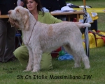 Filename=I-Massimiliano.jpg
Filesize=80KiB
Dimensions=966x780
Date added=Sep 16, 2009 I-Massimiliano.jpg