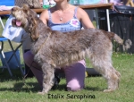 Filename=I-Seraphina.jpg
Filesize=120KiB
Dimensions=1071x819
Date added=Sep 16, 2009 I-Seraphina.jpg