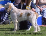 Filename=J-AllThatJazz.jpg
Filesize=116KiB
Dimensions=975x762
Date added=Sep 16, 2009 J-AllThatJazz.jpg