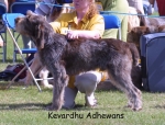 Filename=K-Adhewans.jpg
Filesize=125KiB
Dimensions=1002x762
Date added=Sep 16, 2009 K-Adhewans.jpg