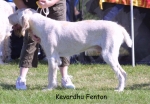 Filename=K-Fenten.jpg
Filesize=124KiB
Dimensions=1137x792
Date added=Sep 16, 2009 K-Fenten.jpg