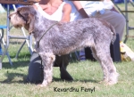 Filename=K-Fenyl.jpg
Filesize=130KiB
Dimensions=1143x831
Date added=Sep 16, 2009 K-Fenyl.jpg