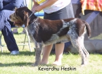 Filename=K-Heskin.jpg
Filesize=100KiB
Dimensions=1041x759
Date added=Sep 16, 2009 K-Heskin.jpg