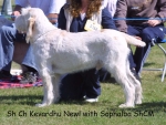 Filename=K-Newl.jpg
Filesize=128KiB
Dimensions=1119x846
Date added=Sep 16, 2009 K-Newl.jpg