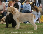 Filename=B-BornToLove.jpg
Filesize=71KiB
Dimensions=700x550
Date added=Sep 16, 2009 B-BornToLove.jpg