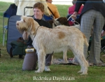 Filename=B-Daydream.jpg
Filesize=68KiB
Dimensions=700x550
Date added=Sep 16, 2009 B-Daydream.jpg