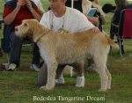 Filename=B-TangerineDream.jpg
Filesize=64KiB
Dimensions=700x550
Date added=Sep 16, 2009 B-TangerineDream.jpg